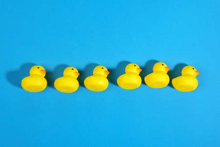 yellow rubber ducks on a blue background close-up.の写真素材