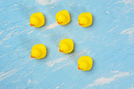 yellow rubber ducks on a blue background. top view