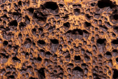 A surface with holes. Use for the concept and the concept of trypophobia. Texture