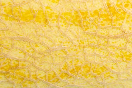 Melon close-up background of fruit skin dripping water. Juicy fruit