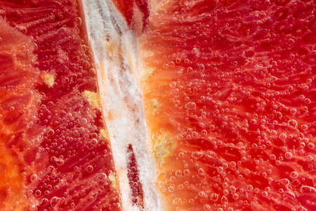 Grapefruit in the water close-up macro. Refreshing grapefruit drink, cocktail.の写真素材