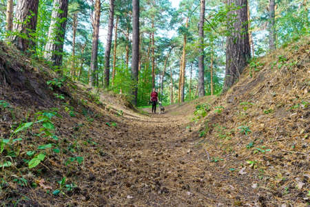 Friendship between human and dog. Walk in nature. A girl on a walk with a dog