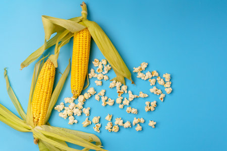 Popcorn in bowl on background. Popcorn in a bowl and scattered on table. Copyspaceの写真素材