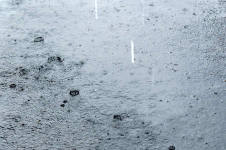 Rain over a puddle ripples on the surface of the water when raindrops fall. Selective focusの写真素材