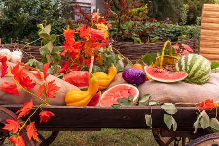 Autumn harvest festival with fruits, pumpkins watermelons cabbage and colorful flowers. Design in...