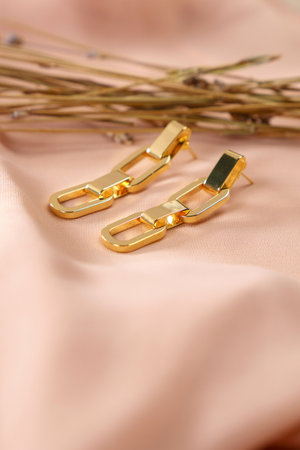 Close up golden earrings. beautiful earrings. women accessories