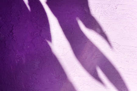 Shadow background pink trend, for product presentation, background and layout, summer seasonal...