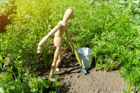 Gardener wooden mannequin works in the garden. Home gardening and plant growing concept. selective...