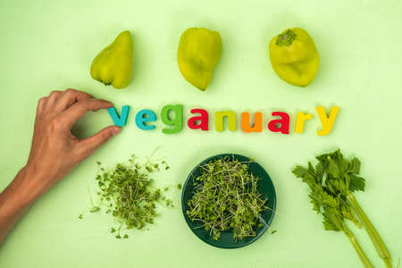 St. Johns wort flowers Hypericum perforatum or St. Johns wort in the meadow, selective focusの写真素材