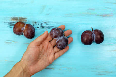 Ugly plums and carrots. Ugli fruit. funny food. Trendy ugly food concept. vertical photoの写真素材