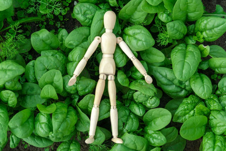 Black currant berries, in the garden in summer. Selective focus on garden berries.の写真素材