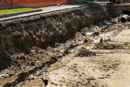 Black currant berries, in the garden in summer. Selective focus on garden berries.の写真素材
