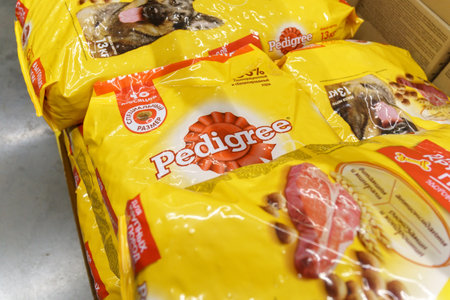 Tyumen, Russia-September 13, 2022: Fila logo model disruptor 2 white sneakers is one of the world's largest sportswear manufacturing companies.のeditorial素材