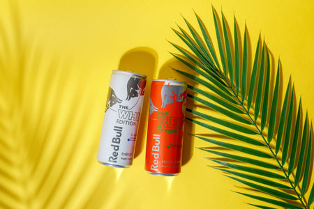 Tyumen, Russia-September 27, 2022: Bottled alcoholic beverages Martini for sale on the shelf in grocery store. selective focusのeditorial素材