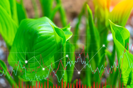 Agriculture seeding growing hosta plant. Business development growth, planning and strategy concept