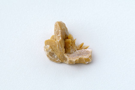 desert rose. Rock composed of gypsum close up, crystals that resemble the shape of a rose, white backgroundの写真素材