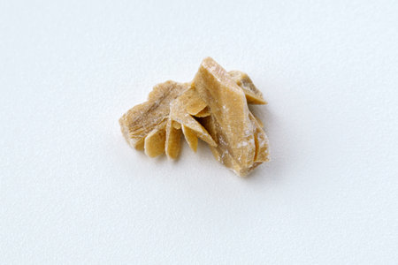 desert rose. Rock composed of gypsum close up, crystals that resemble the shape of a rose, white backgroundの写真素材