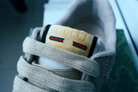 Tyumen, Russia-February 23, 2023: Gucci sneakers logo close-up. Stylish, fashionable. Fashion...