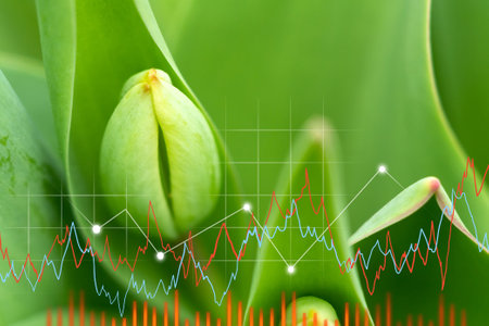 Flowers tulips, buying and selling graph, flower business. bright colorful flowersの写真素材