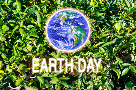 Earth on the background of tea leaves green texture, environment. Earth Day Concept. Elements of this image are furnished by NASAの写真素材