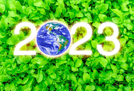 Earth on the background of spinach leaves has a green texture, the environment. Earth Day Concept. Elements of this image are furnished by NASAの写真素材