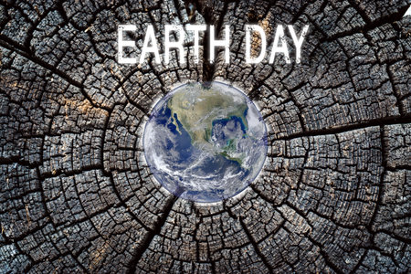 Earth on the background of a dark old tree texture environment. Earth Day Concept. Elements of this image are furnished by NASAの写真素材