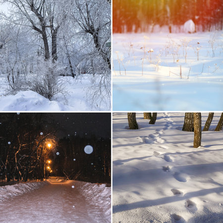 Collection of pictures winter season, web banner. Nature collage with seasonal scenics, squareの写真素材