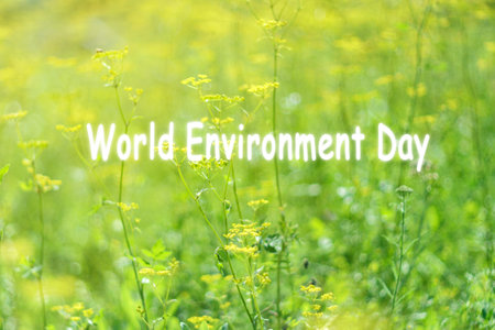 World environment day, fresh green grass, bright dawn on a sunny day. natural summer background....