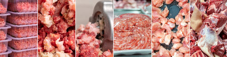 Food collage of various types of fresh meat. Fresh minced meat. horizontal formatの写真素材