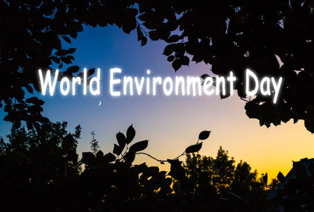 World environment day, moon through the trees blue sky night tree leavesの写真素材