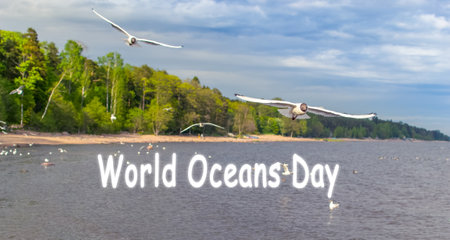 World Oceans Day. Realistic sea scene. Flying seagulls, selective focusの写真素材