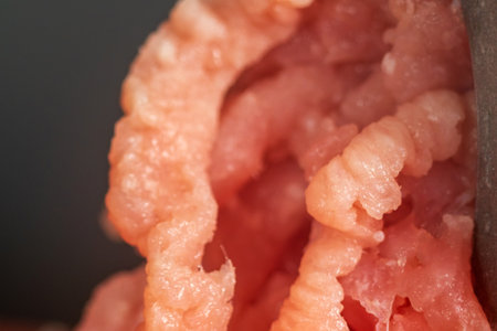 Minced meat close-up macro. background textureの写真素材