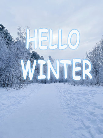 winter background. Hello Winter lettering. Forest in winter, slender trunks of tall conifers in the snow. winter forest landscape. vertical photoの写真素材
