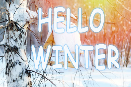 winter background. Hello Winter lettering. Bird house in winter with snow covered trees. selective focusの写真素材