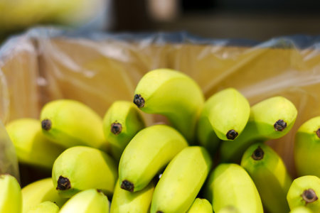 Fresh yellow bananas in close-up on the shelves of a hypermarket.の写真素材