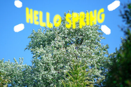 Hello spring, Sun shining through the trees. The beginning of the spring season. Blooming apple...
