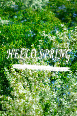 Hello spring, Sun shining through the trees. Blooming apple trees. Vertical photo