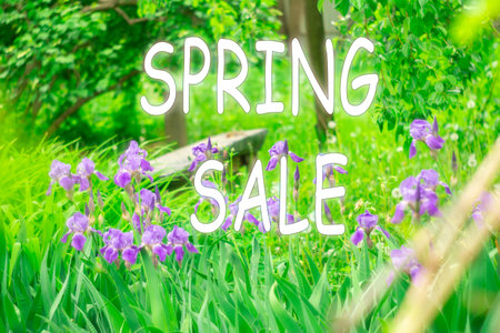 Spring season sale text. Can be used for web banners, wallpaper, flyers, voucher discount.の写真素材