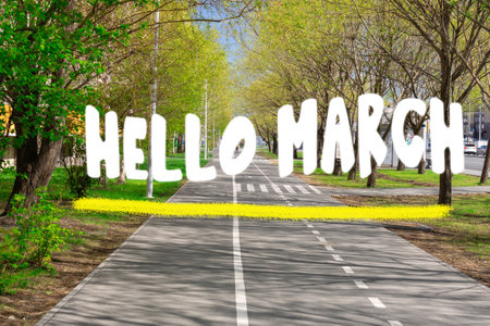 Hello, March is the time of spring, The road with branches in the city. The beginning of the seasonの写真素材