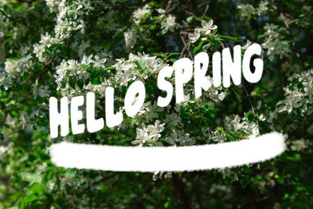Text Hello Spring. Color spring background with a branch of blooming treeの写真素材