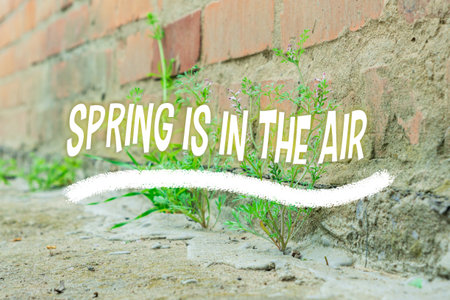 Text Spring is in the air. First plants break through the concreteの写真素材