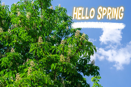 Hello spring, Sun shining through the trees. The beginning of the spring season. Blooming apple...