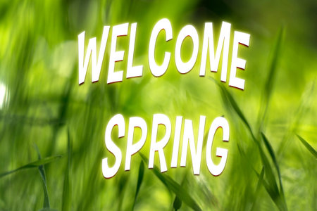 Springtime concept with wild flowers and blurred background, selective focus, with text Welcome springの写真素材