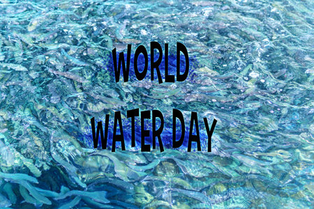 World Water Day text overlaid, emphasizing the importance of water conservation.の写真素材
