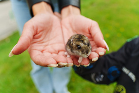 A gentle moment with a tiny rodent held in open hands outdoors on a sunny day, showcasing the...