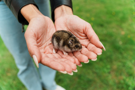 A curious little hamsters rests gently in a child's hand, enjoying a sunny day at the park surrounded by lush green grassの写真素材