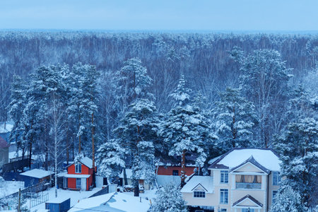 A beautiful winter morning reveals snow-covered houses nestled among tall trees.の写真素材