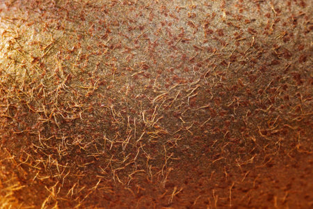 Close-up view of kiwi fruit showing its unique texture and natural features under natural light in a simple settingの写真素材