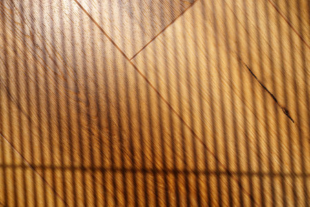 Sunlight filters through a window, casting elongated shadows on the polished wooden floorの写真素材