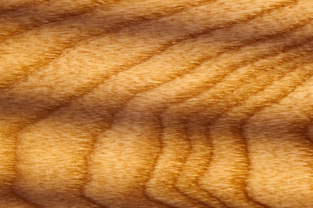 Detailed close-up of wood grain showing natural texture and patterns in light tonesの写真素材
